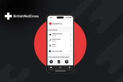 British Red Cross - Baby and child first aid at a parents’ fingertips